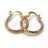 Oro Laminado Small Hoop, Gold Filled Style Polished, Tricolor, 5.147.045