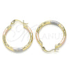 Oro Laminado Small Hoop, Gold Filled Style Diamond Cutting Finish, Tricolor, 02.213.0243.25