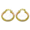 Oro Laminado Small Hoop, Gold Filled Style Hollow Design, Diamond Cutting Finish, Tricolor, 02.213.0242.25