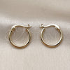 Oro Laminado Small Hoop, Gold Filled Style Polished, Golden Finish, 02.195.0395.16