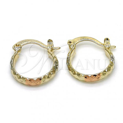 Oro Laminado Small Hoop, Gold Filled Style Diamond Cutting Finish, Tricolor, 02.96.0086.1.15