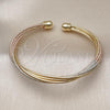 Oro Laminado Individual Bangle, Gold Filled Style Diamond Cutting Finish, Tricolor, 07.170.0051.1