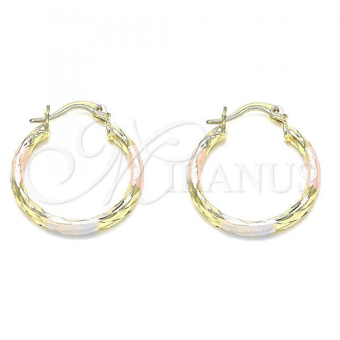 Oro Laminado Small Hoop, Gold Filled Style Diamond Cutting Finish, Tricolor, 02.213.0249.25