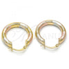 Oro Laminado Small Hoop, Gold Filled Style Hollow Design, Diamond Cutting Finish, Tricolor, 5.139.020.1.25
