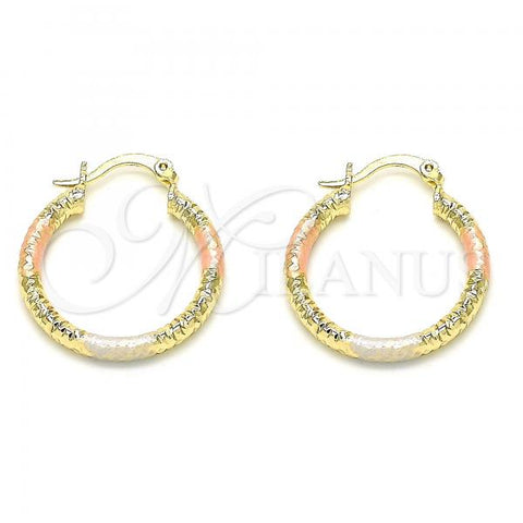 Oro Laminado Small Hoop, Gold Filled Style Diamond Cutting Finish, Tricolor, 02.213.0162.1.25