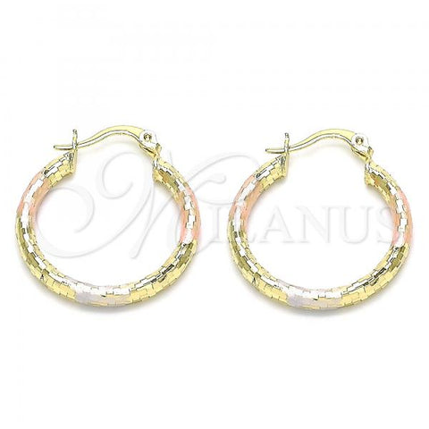 Oro Laminado Small Hoop, Gold Filled Style Diamond Cutting Finish, Tricolor, 02.213.0252.1.25