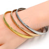 Stainless Steel Trio Bangle, Polished, Tricolor, 07.247.0001 .06 (16 MM Thickness, Size 6 - 2.75 Diameter)