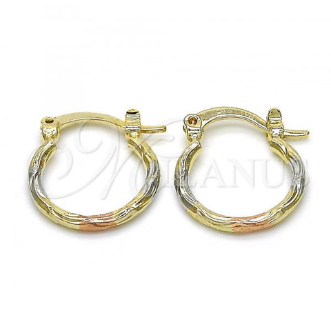 Oro Laminado Small Hoop, Gold Filled Style Diamond Cutting Finish, Tricolor, 02.96.0080.1.15