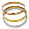 Stainless Steel Trio Bangle, Polished, Tricolor, 07.244.0001.04 (05 MM Thickness, Size 4 - 2.25 Diameter)