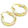 Oro Laminado Small Hoop, Gold Filled Style Polished, Tricolor, 02.170.0249.25