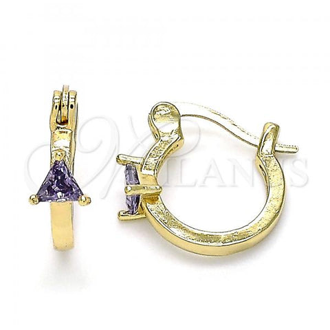 Oro Laminado Small Hoop, Gold Filled Style with Amethyst Cubic Zirconia, Polished, Golden Finish, 02.210.0501.3.12