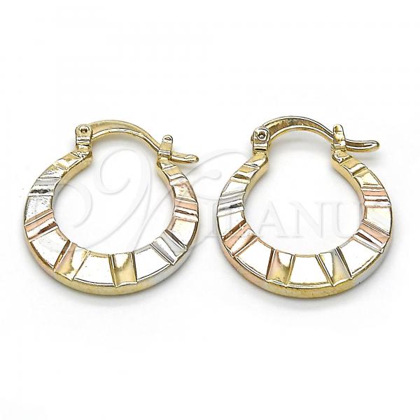 Oro Laminado Small Hoop, Gold Filled Style Polished, Tricolor, 02.65.2600.20