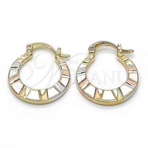Oro Laminado Small Hoop, Gold Filled Style Polished, Tricolor, 02.65.2600.20