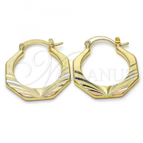Oro Laminado Small Hoop, Gold Filled Style Diamond Cutting Finish, Tricolor, 02.102.0049.25