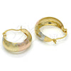 Oro Laminado Small Hoop, Gold Filled Style Polished, Tricolor, 02.106.0016.1.20