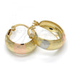 Oro Laminado Small Hoop, Gold Filled Style Polished, Tricolor, 02.106.0014.1.20