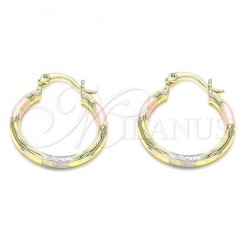 Oro Laminado Small Hoop, Gold Filled Style Diamond Cutting Finish, Tricolor, 02.213.0152.1.25