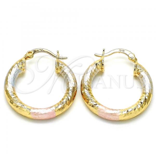 Oro Laminado Small Hoop, Gold Filled Style Diamond Cutting Finish, Tricolor, 02.170.0250.25