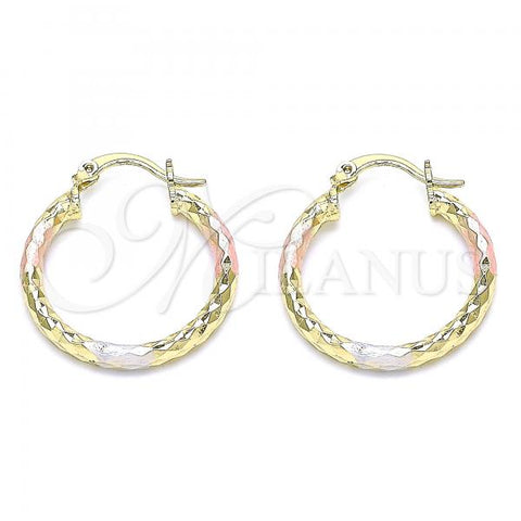 Oro Laminado Small Hoop, Gold Filled Style Diamond Cutting Finish, Tricolor, 02.213.0154.1.25