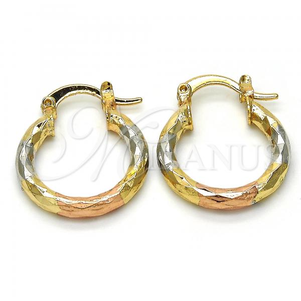 Oro Laminado Small Hoop, Gold Filled Style Diamond Cutting Finish, Tricolor, 02.102.0051.20