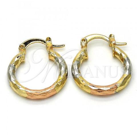 Oro Laminado Small Hoop, Gold Filled Style Diamond Cutting Finish, Tricolor, 02.102.0051.20