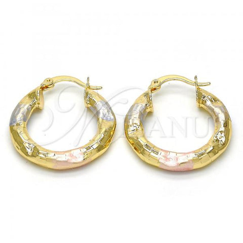 Oro Laminado Small Hoop, Gold Filled Style Hollow Design, Diamond Cutting Finish, Tricolor, 02.170.0168.25