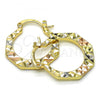 Oro Laminado Small Hoop, Gold Filled Style Diamond Cutting Finish, Tricolor, 02.102.0046.25