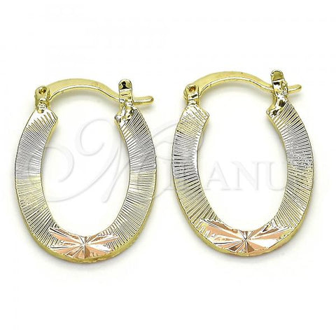 Oro Laminado Small Hoop, Gold Filled Style Polished, Tricolor, 02.102.0061.20
