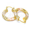 Oro Laminado Small Hoop, Gold Filled Style Hollow and Twist Design, Polished, Tricolor, 02.170.0144.25