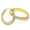 Oro Laminado Small Hoop, Gold Filled Style Diamond Cutting Finish, Tricolor, 02.102.0039.20