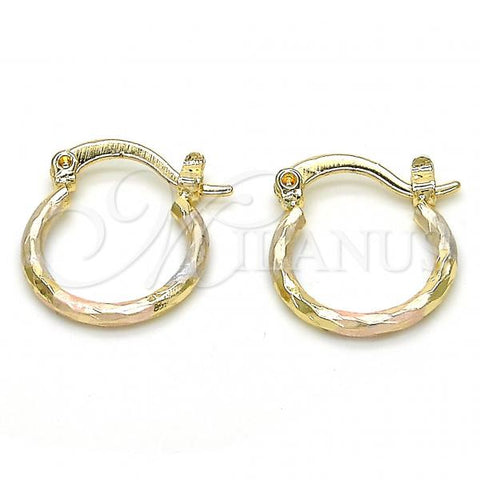 Oro Laminado Small Hoop, Gold Filled Style Diamond Cutting Finish, Tricolor, 02.96.0079.2.15