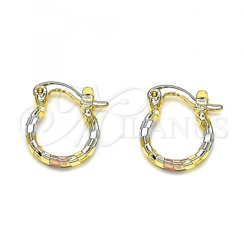 Oro Laminado Small Hoop, Gold Filled Style Diamond Cutting Finish, Tricolor, 02.96.0087.2.12