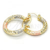 Oro Laminado Small Hoop, Gold Filled Style Hollow Design, Diamond Cutting Finish, Tricolor, 02.170.0135.1.25