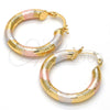 Oro Laminado Small Hoop, Gold Filled Style Hollow Design, Diamond Cutting Finish, Tricolor, 5.139.020.1.25