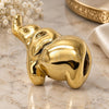 Oro Laminado Love Link Pendant, Gold Filled Style Elephant Design, Polished, Golden Finish, 05.179.0006