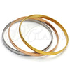 Stainless Steel Trio Bangle, Polished, Tricolor, 07.247.0001 .06 (16 MM Thickness, Size 6 (2.75 Diameter))