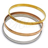 Stainless Steel Trio Bangle, Polished, Tricolor, 07.247.0001 .06 (16 MM Thickness, Size 6 (2.75 Diameter))