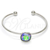 Rhodium Gold Filled Individual Bangle, with Paradise Shine Swarovski Crystals, Polished, Rhodium Finish, 07.239.0010.1 (02 MM Thickness, One size fits all)