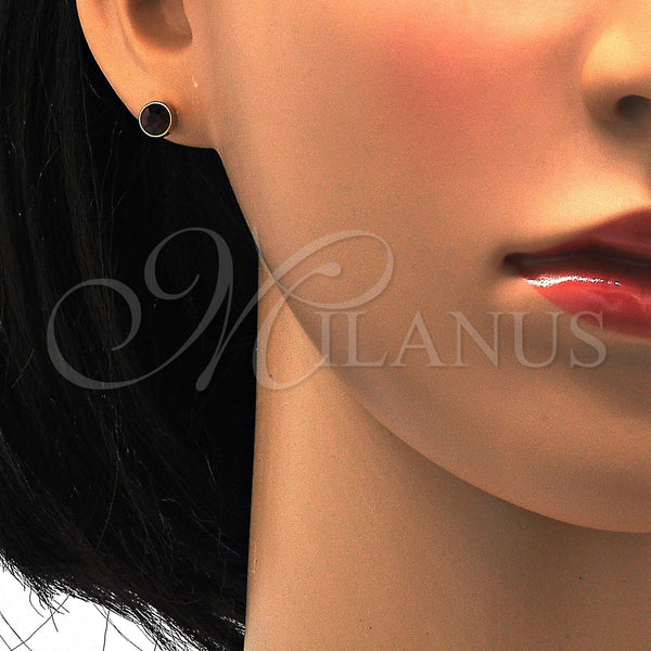 Stainless Steel Ring — Stud Earring with Brown Crystal Polished 02. — alternate product view — SKU 113311 | Acero Inoxidable anillo — Stud Earring with Brown cristal pulido 02. — SKU 113311