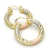 Oro Laminado Small Hoop, Gold Filled Style Hollow Design, Diamond Cutting Finish, Tricolor, 02.170.0135.1.25