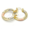 Oro Laminado Small Hoop, Gold Filled Style Hollow Design, Diamond Cutting Finish, Tricolor, 02.170.0135.1.25