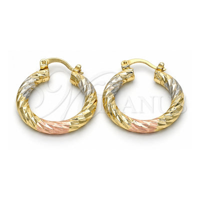 Oro Laminado Small Hoop, Gold Filled Style Hollow Design, Diamond Cutting Finish, Tricolor, 02.170.0135.1.25