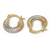 Oro Laminado Small Hoop, Gold Filled Style Diamond Cutting Finish, Tricolor, 02.65.2527.15