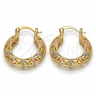 Oro Laminado Small Hoop, Gold Filled Style Polished, Tricolor, 02.102.0018.25