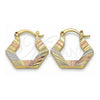 Oro Laminado Small Hoop, Gold Filled Style Diamond Cutting Finish, Tricolor, 02.102.0042.25