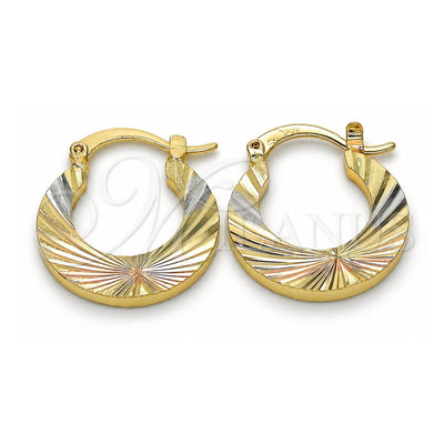 Oro Laminado Small Hoop, Gold Filled Style Diamond Cutting Finish, Tricolor, 02.102.0043.25