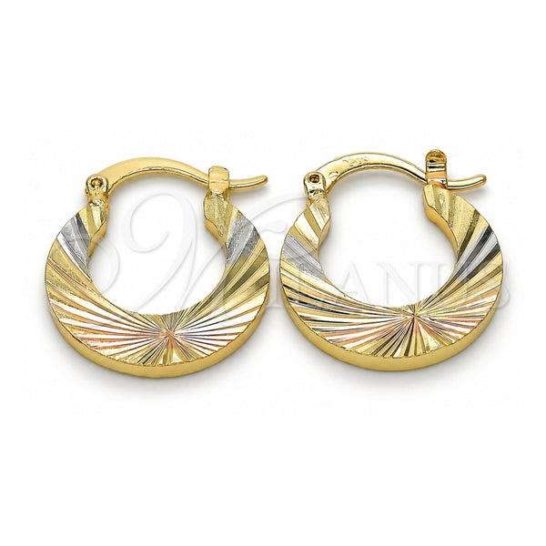 Oro Laminado Small Hoop, Gold Filled Style Diamond Cutting Finish, Tricolor, 02.102.0043.25