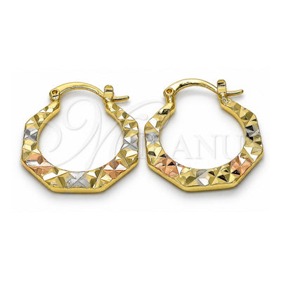 Oro Laminado Small Hoop, Gold Filled Style Diamond Cutting Finish, Tricolor, 02.102.0046.25