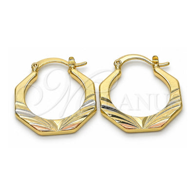 Oro Laminado Small Hoop, Gold Filled Style Diamond Cutting Finish, Tricolor, 02.102.0049.25