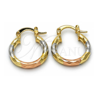 Oro Laminado Small Hoop, Gold Filled Style Diamond Cutting Finish, Tricolor, 02.102.0051.20